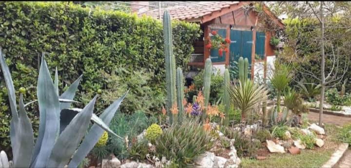 Cactus House Gaspar Zadar Zewnętrze zdjęcie