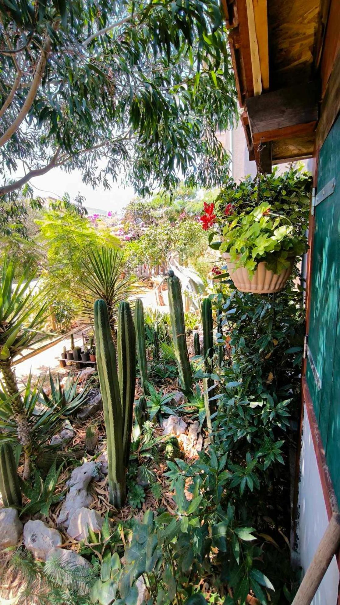 Cactus House Gaspar Zadar Zewnętrze zdjęcie